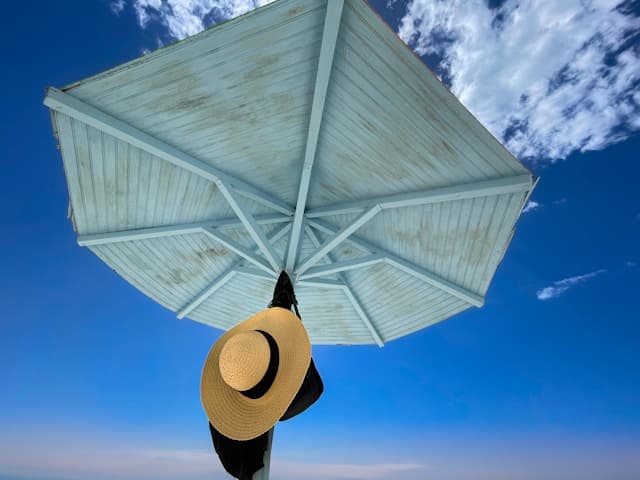 Sleek Wooden Hat